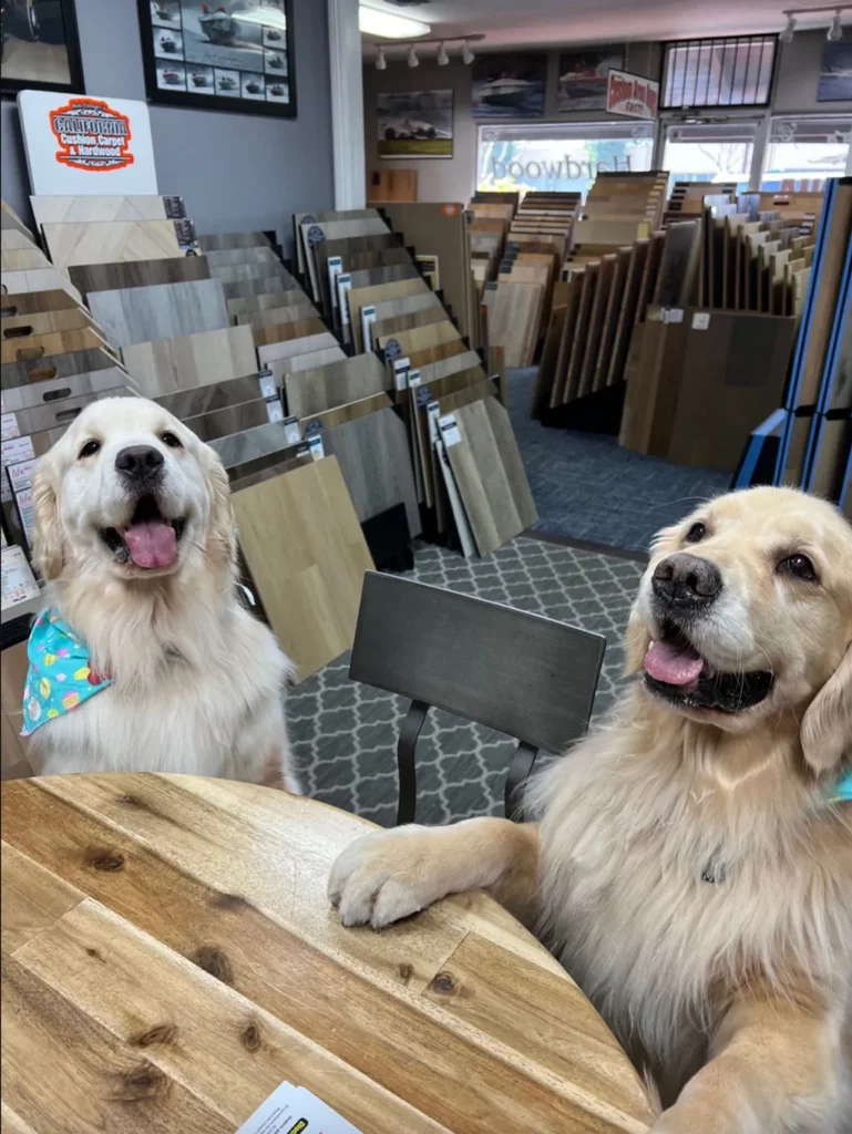 Laminate-Flooring-In-Orange-img-2