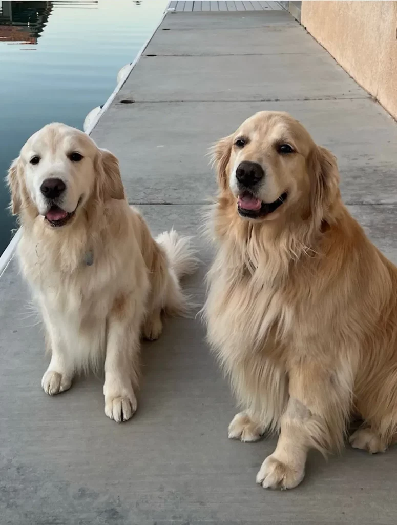 Tuftex-Finn-Ettinger-img